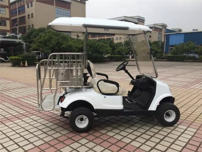 4 carros de golf eléctricos de la persona, seguridad con errores del mini golf con pilas para los niños 0